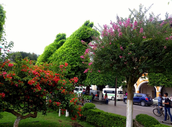 ZÓCALO XICOTEPEC, PUEBLA.