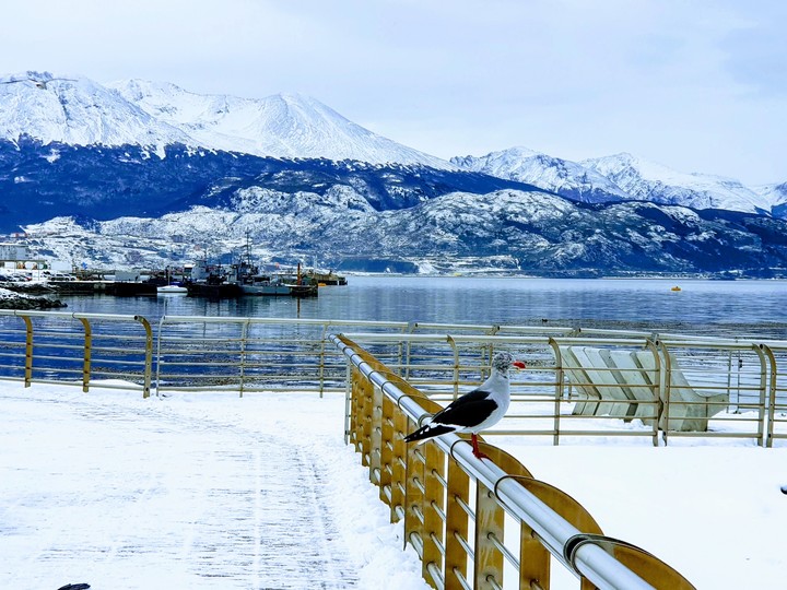 Porto de Ushuaia