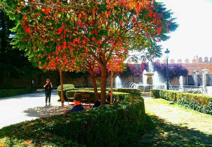 STAMATIOS
