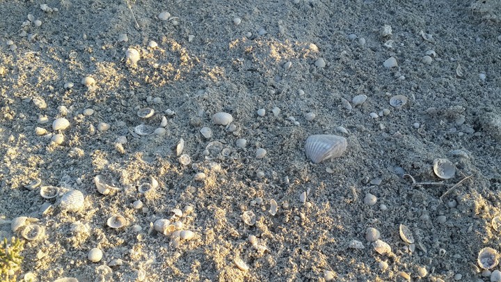 after sea