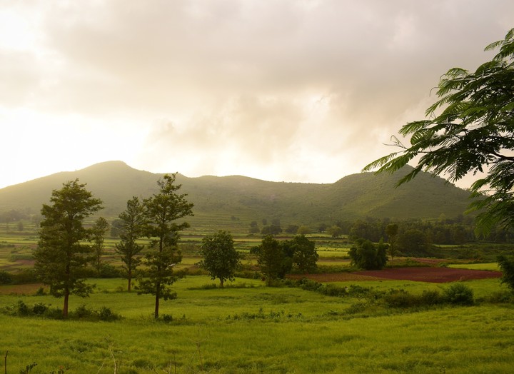 Landscape