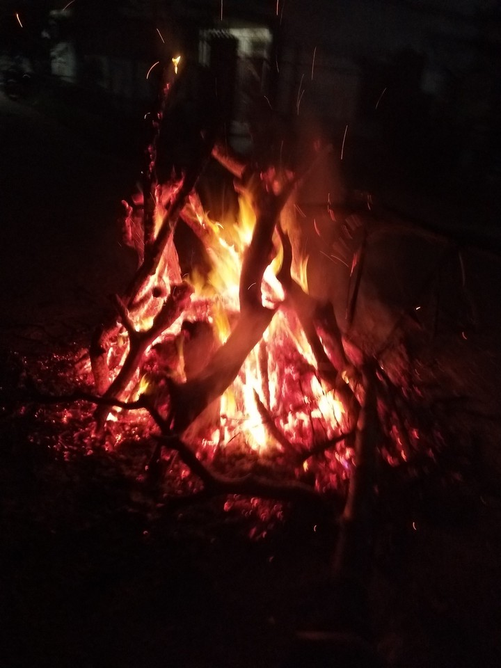 holi special