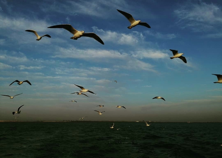 photography_in_dia
