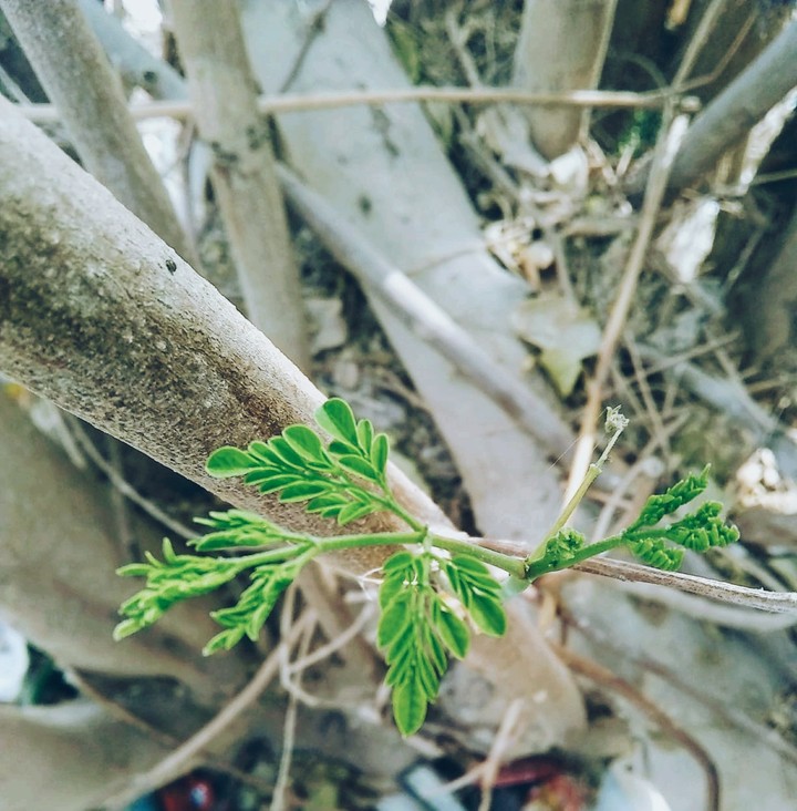 MY PHOTOGRAPHY