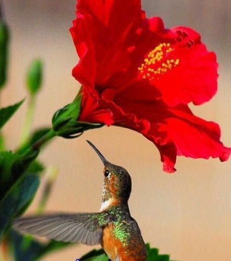 #beautiful nature