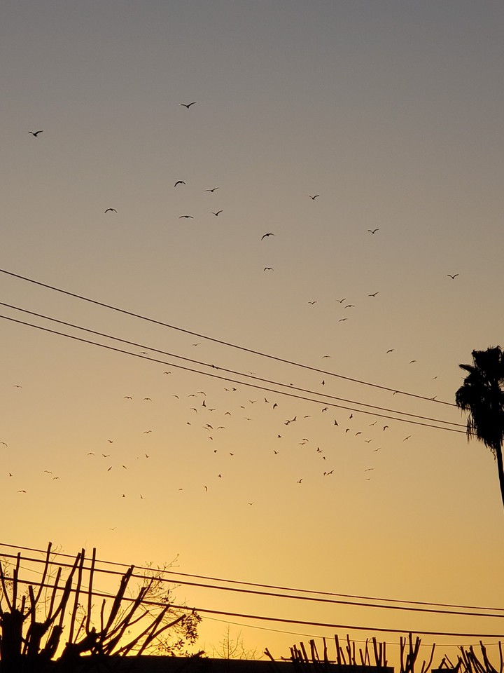 atardecer de febrero