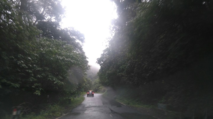 forest ride