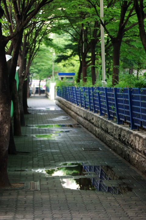 Asia