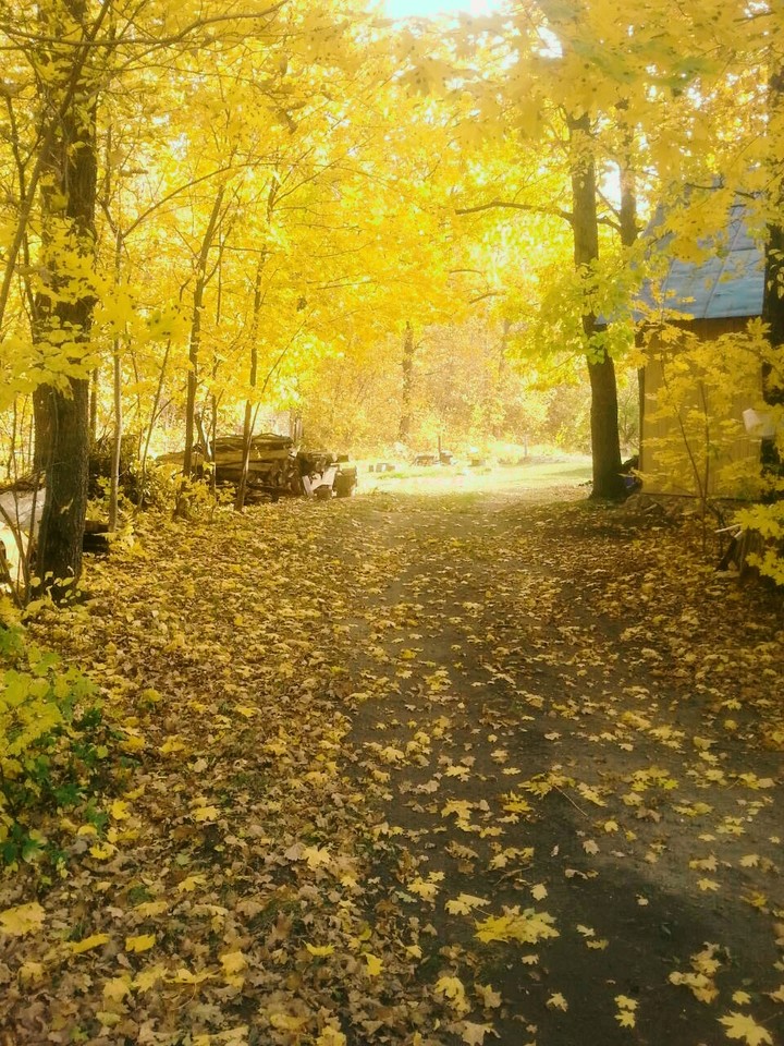 November...Herbst
