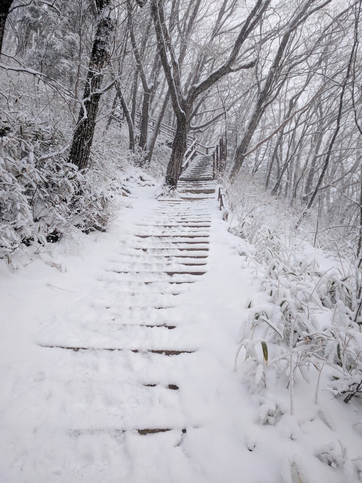 덕유산