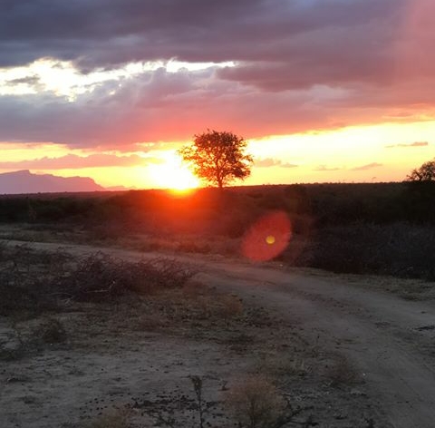 Dusk
