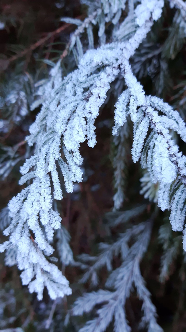 winter