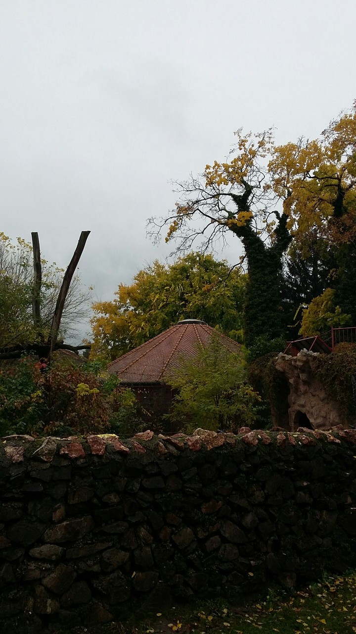 autumn