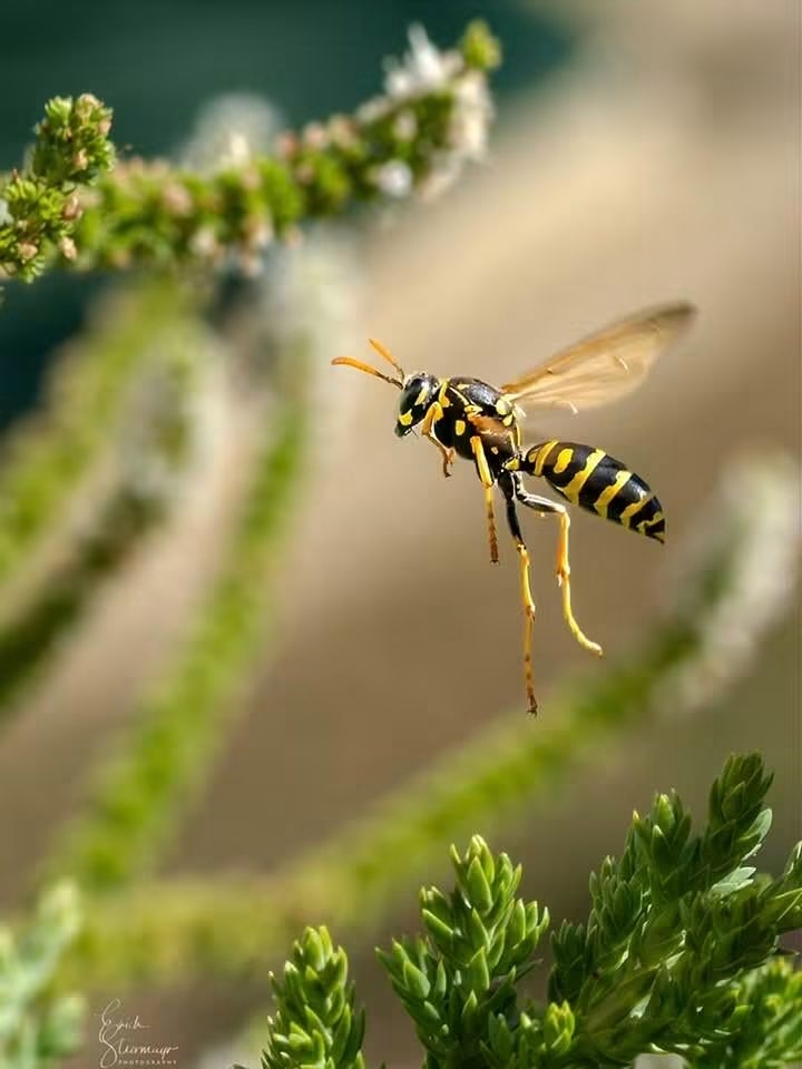 Nature is beautiful!