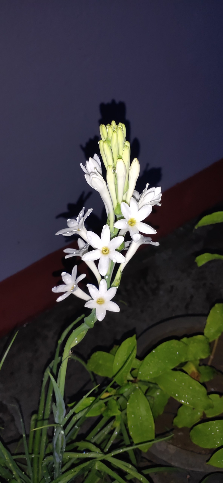 best click