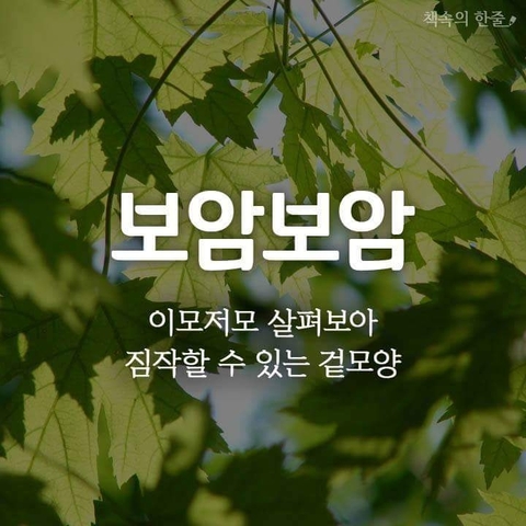 순우리말7