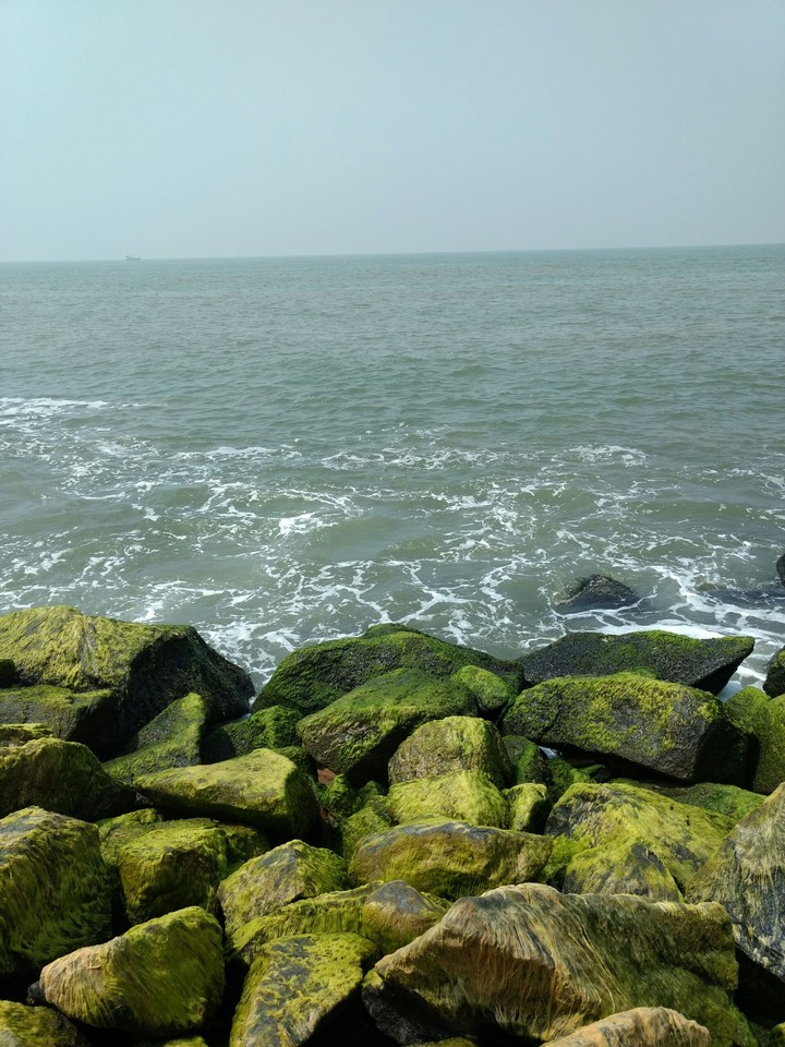 the ocean
