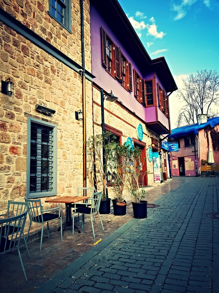 turkey
