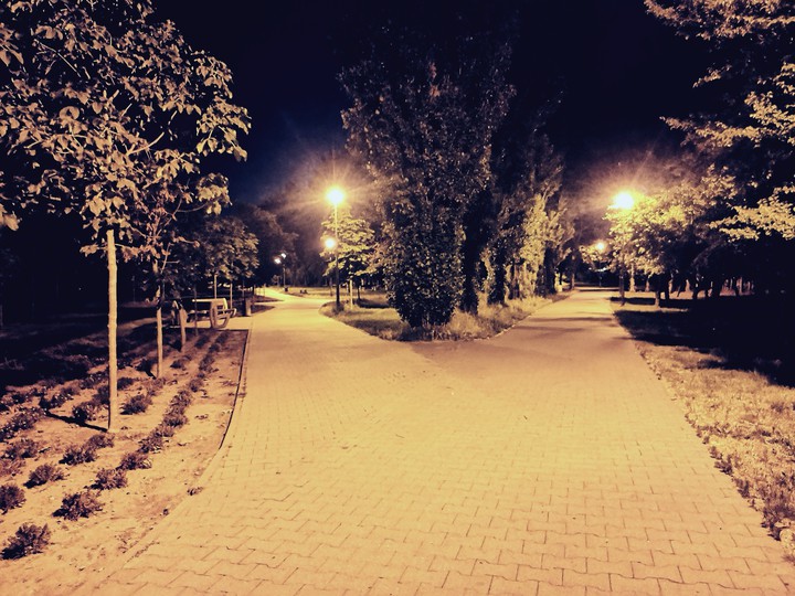 night