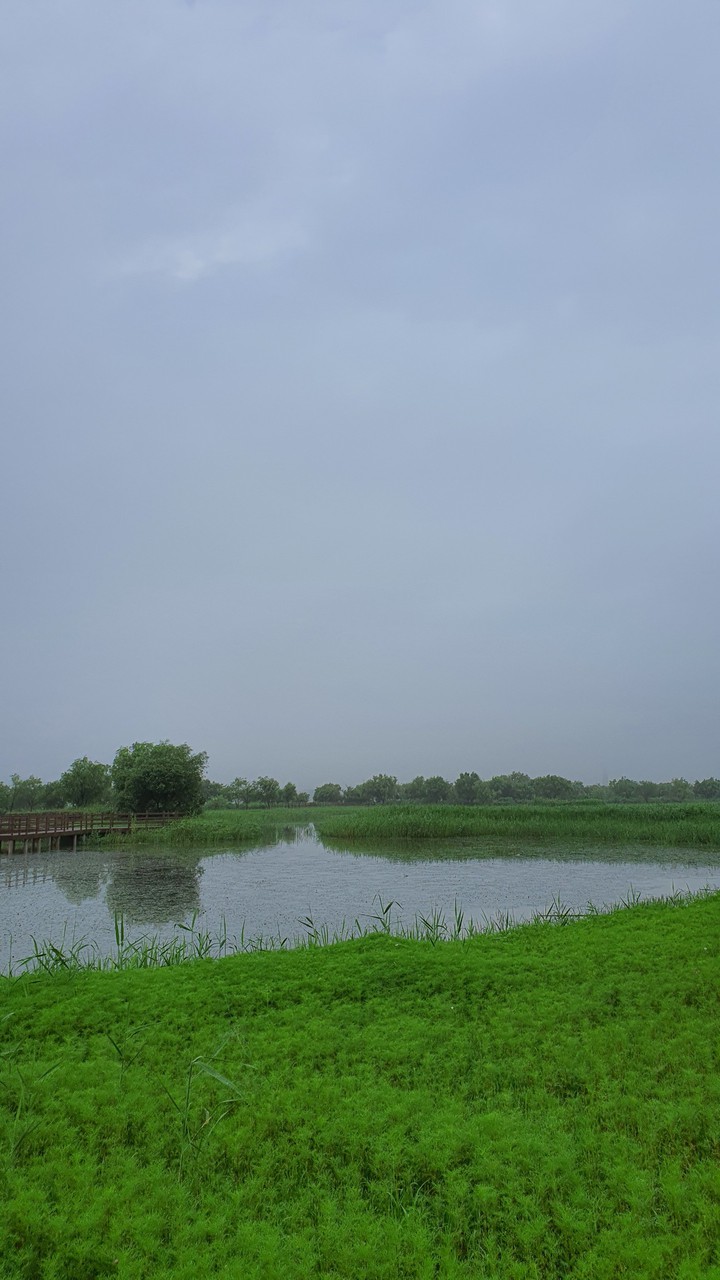 흐린 아침(cloudy morning)