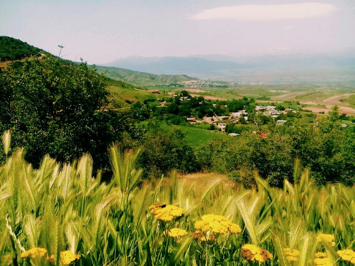 Nature