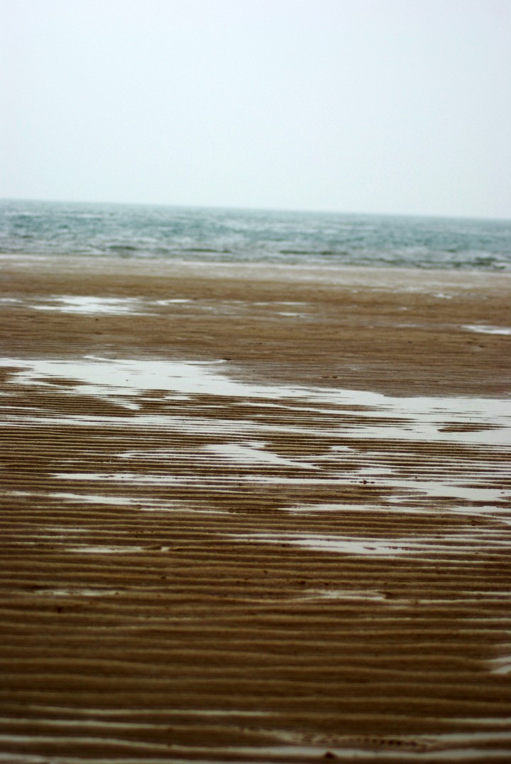 Environment