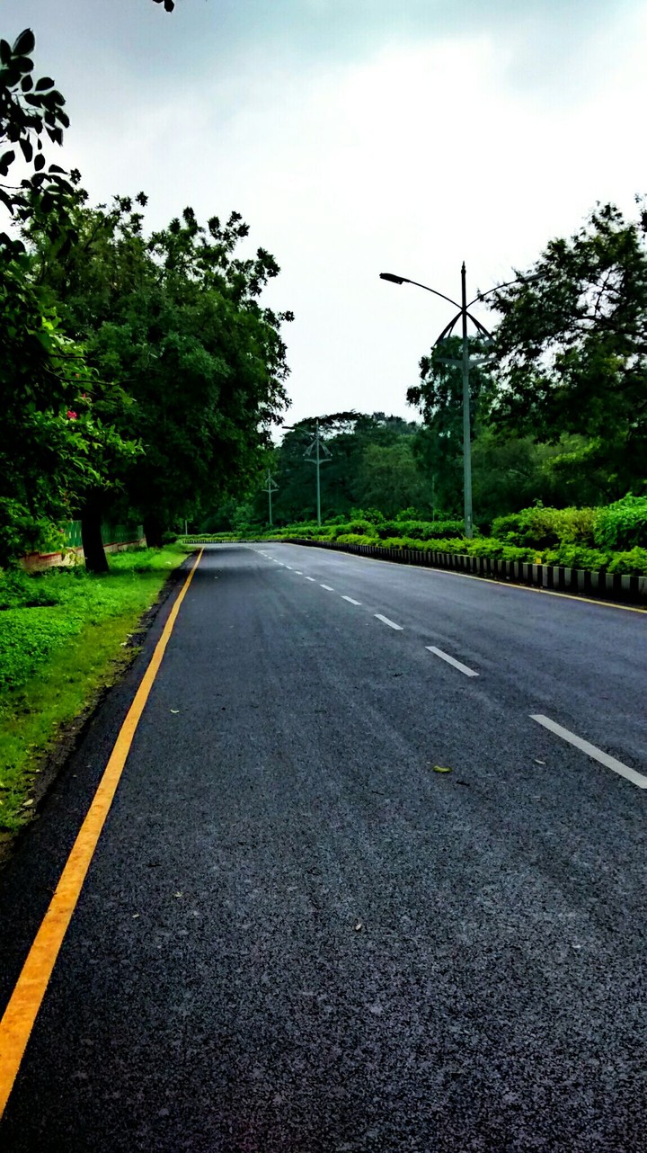Rainy Roads