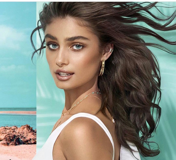 taylor hill