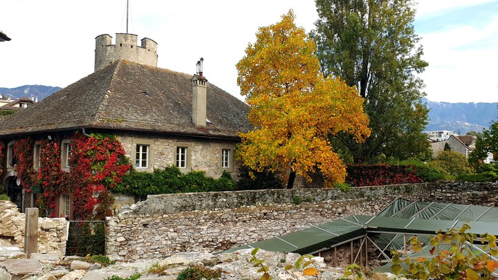 Amazing autumn