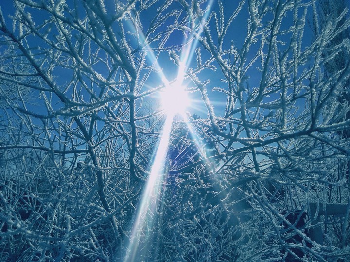 winter