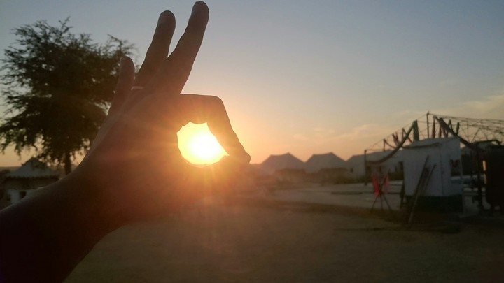 The Sunset