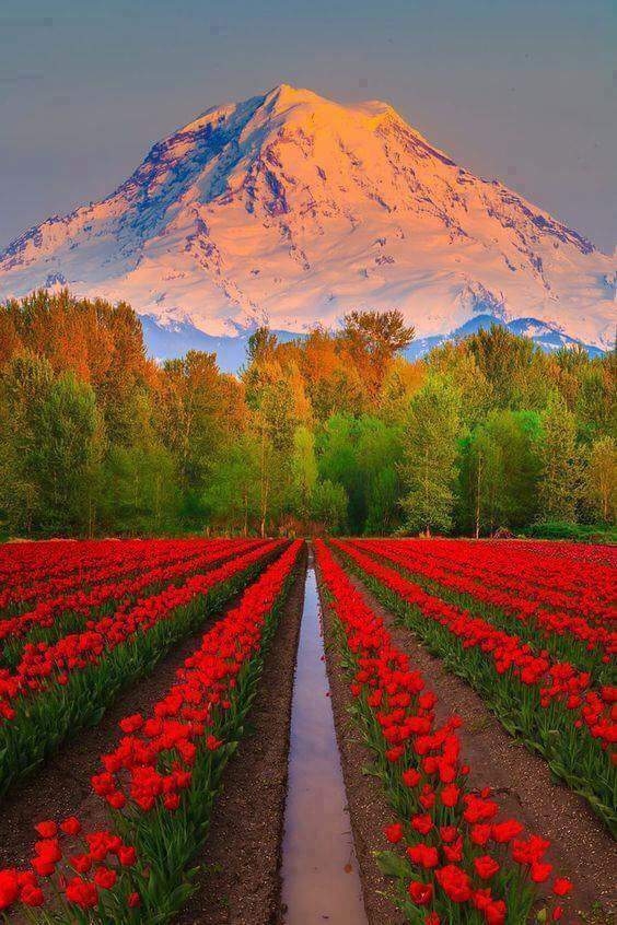 nature