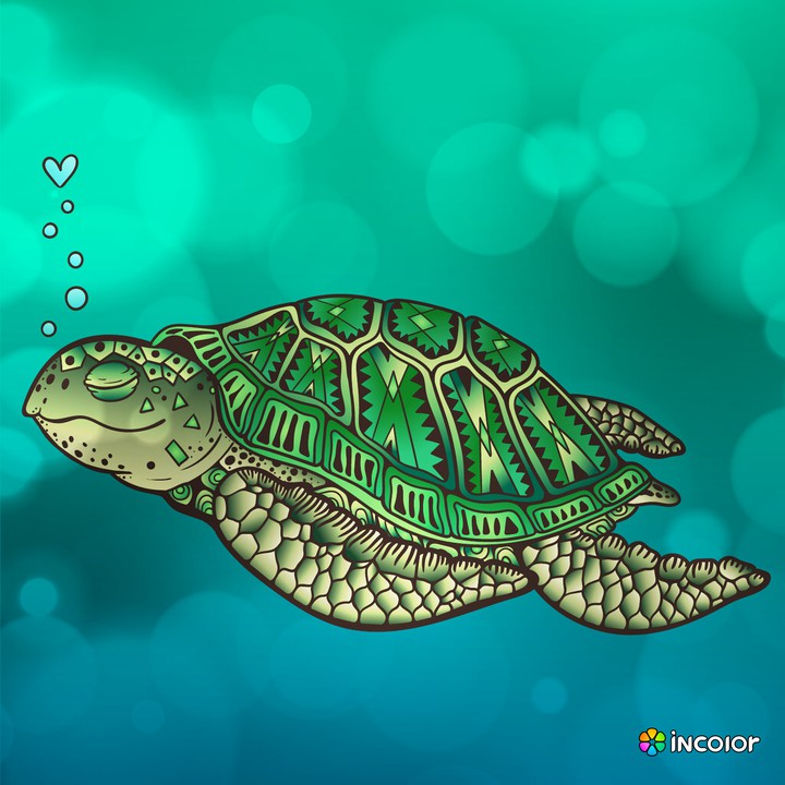 Sea Turtle
