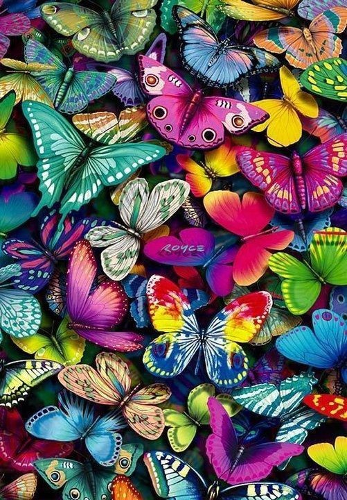 wallpaper
