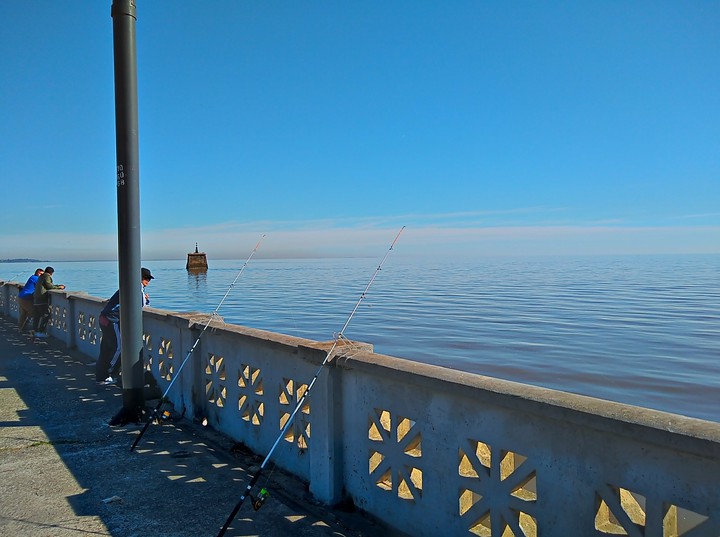 pesca costanea Buenos Aires