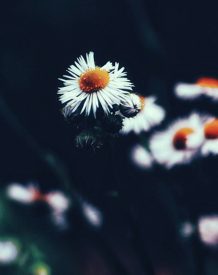 ~