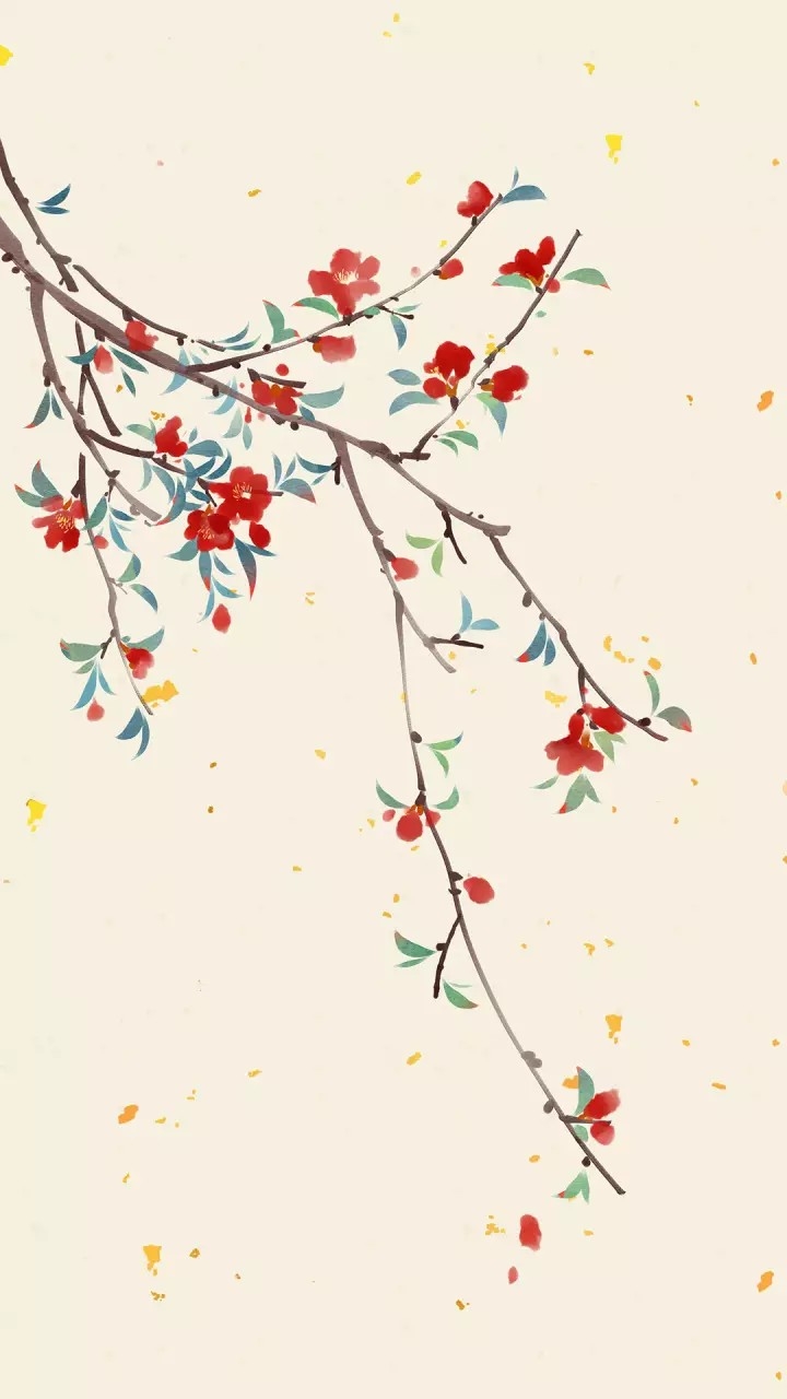 beautiful flowers on wall