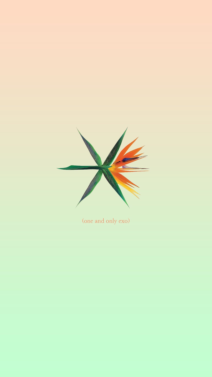 코코밥