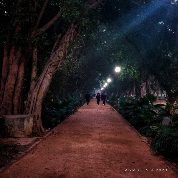 Night Walk