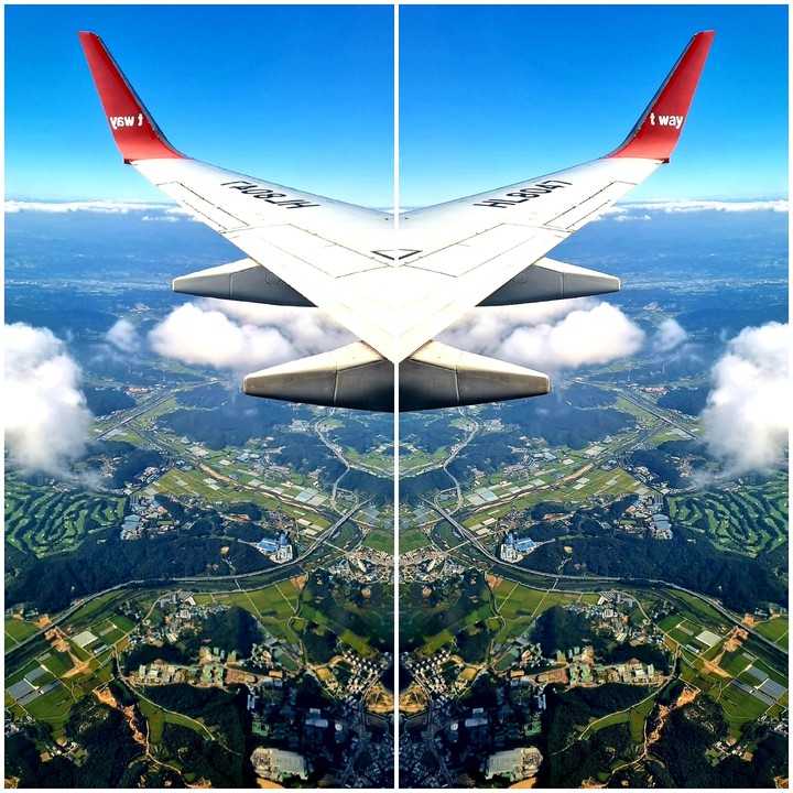 대칭