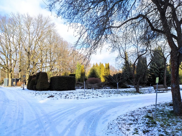 Minsk Botanical garden