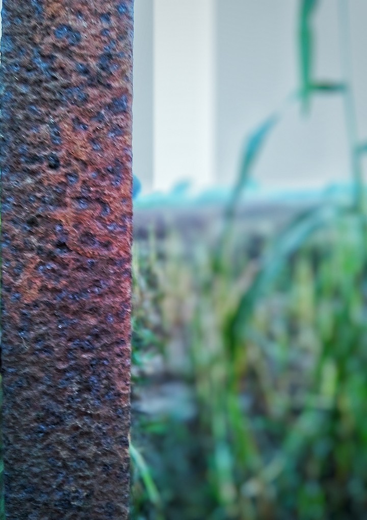 half blur