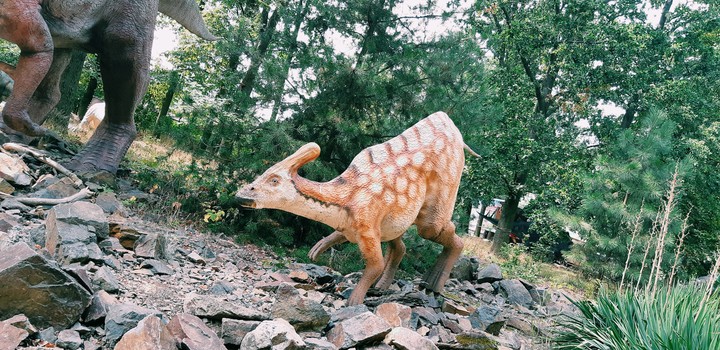 Dino Park Pilsen