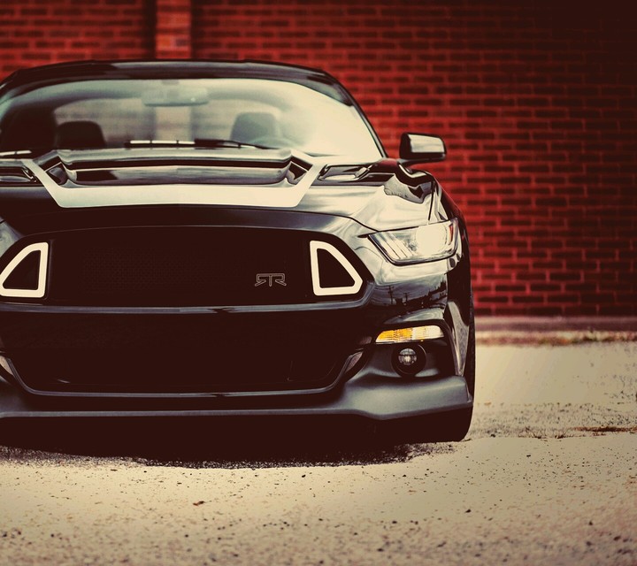 Mustang