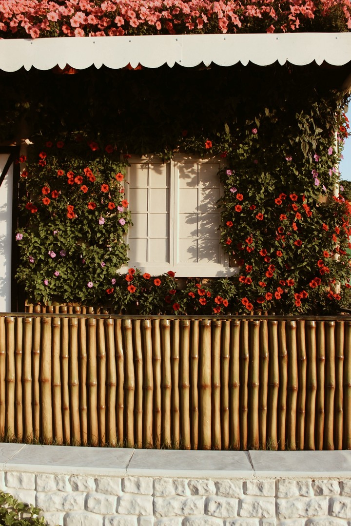window
