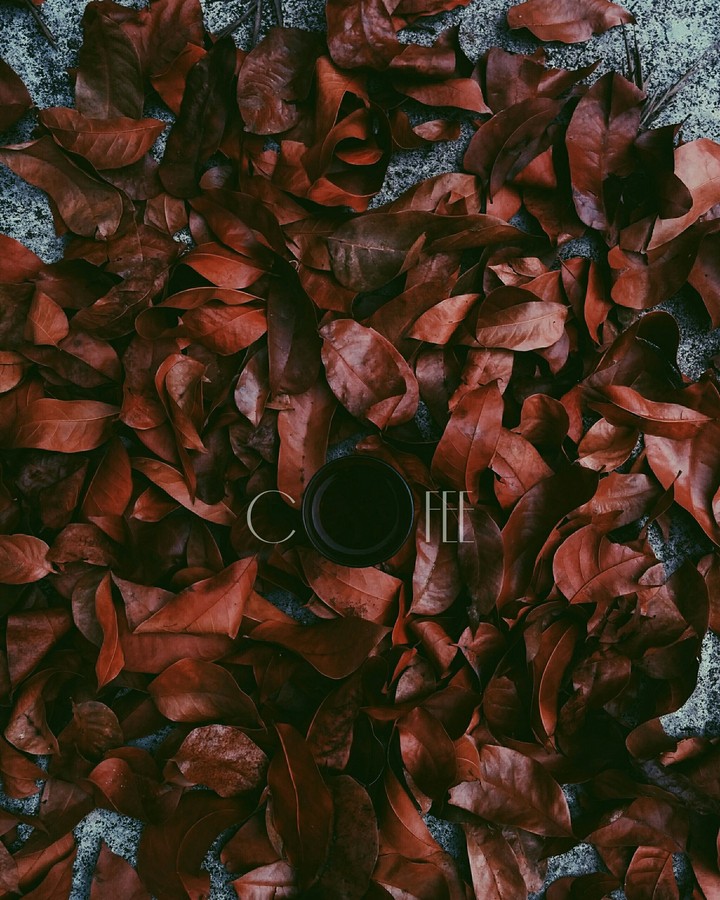 coffee