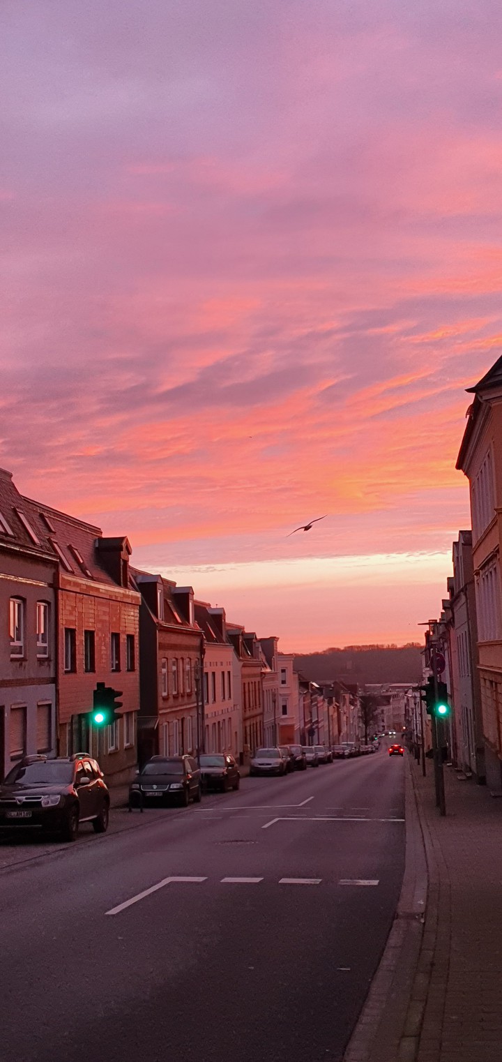 Sonnenaufgang im Winter