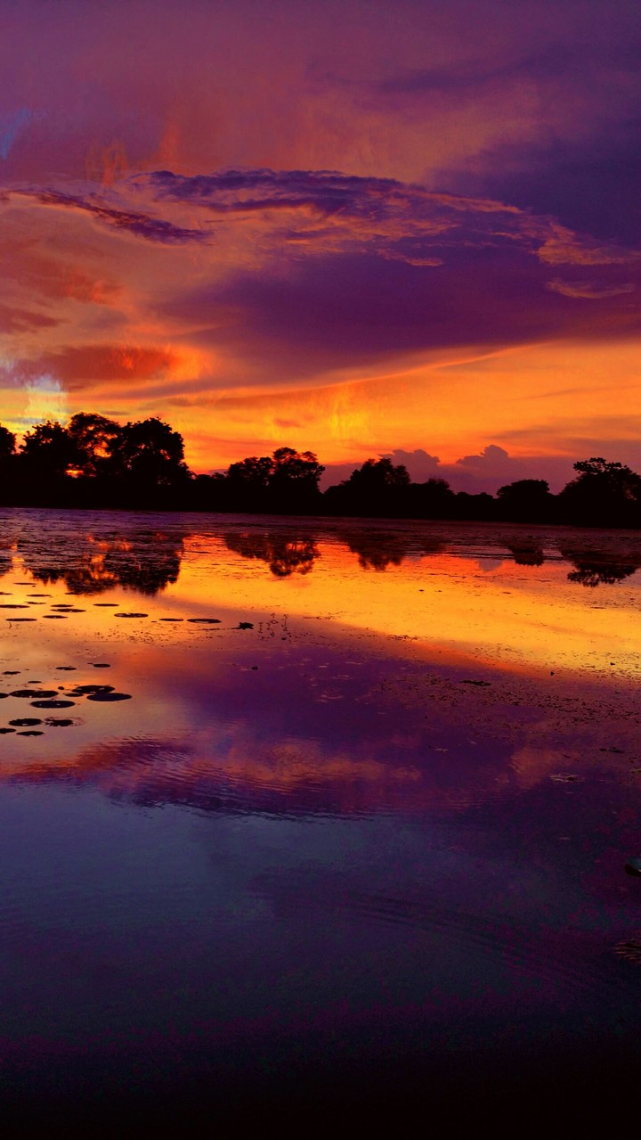 Sunrise