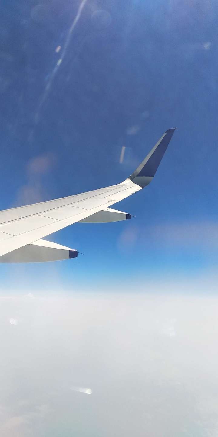 Plane wing Indigo