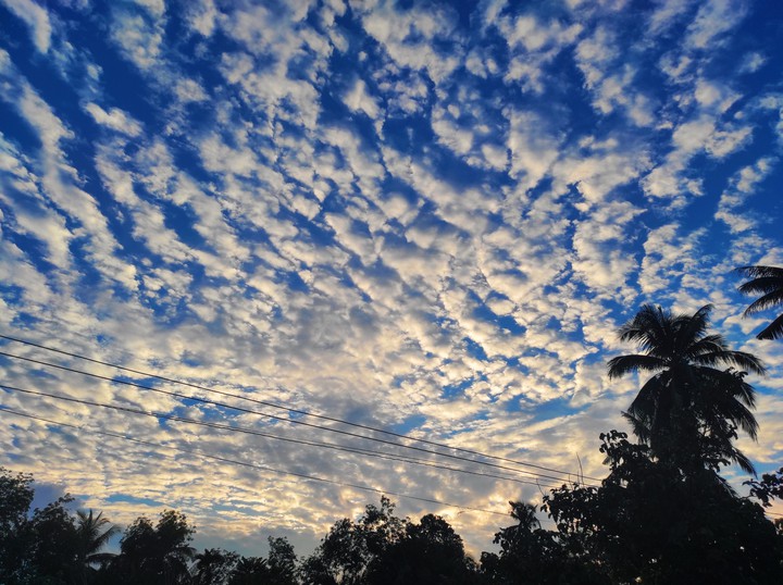 Sky